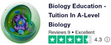 Online A-Level Biology Tuition reviews on Trustpilot 